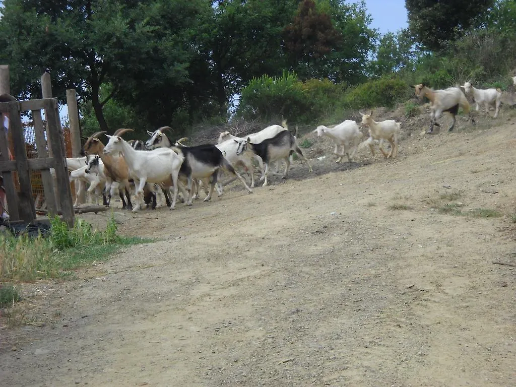 הוילה פראמורה La Foce Del Prato בית חווה